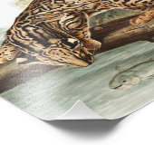 Impression Photo Ocelot, chat léopard (Felis pardalis) Illustration (Coin)