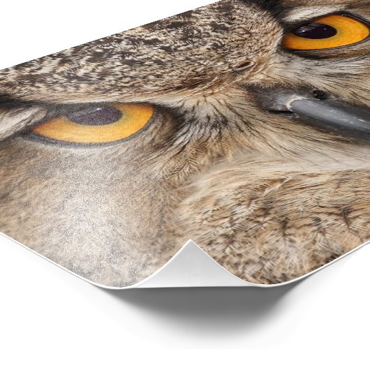 Impression Photo OEil (Coin)