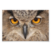 Impression Photo OEil (Devant)