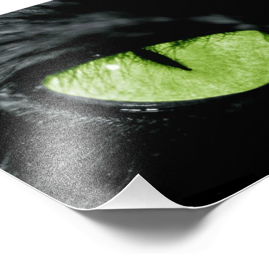 Impression Photo oeil de chat (Coin)