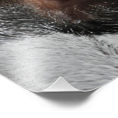 Impression Photo Oeil de chat (Coin)