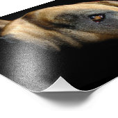 Impression Photo Œil de dogue (Coin)