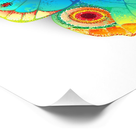 Impression Photo Oeil de paon arc-en-ciel (Coin)