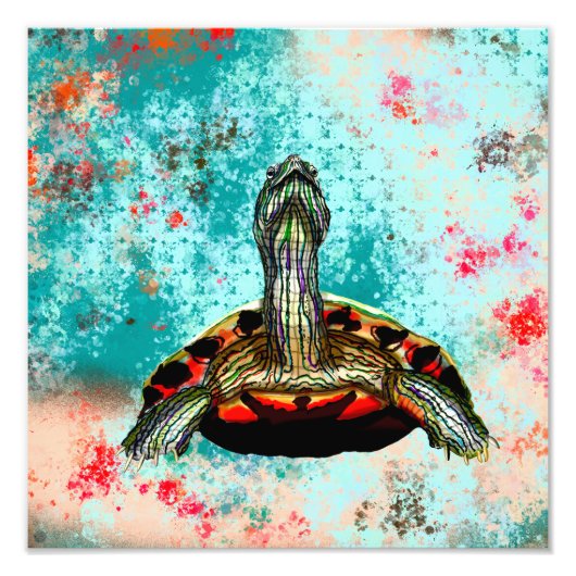 Impression Photo Oeuvre Abstraite de tortue (Devant)