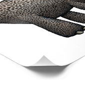 Impression Photo Oeuvre de Tricératops (Coin)