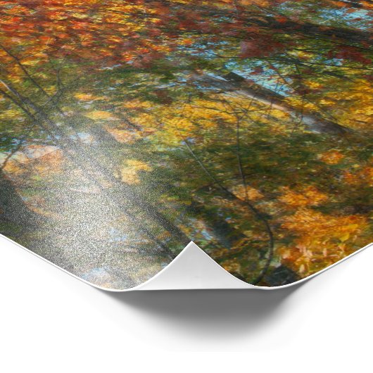 Impression Photo Oeuvre forestière d'automne (Coin)