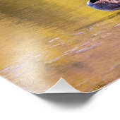 Impression Photo Oie d'or (Coin)