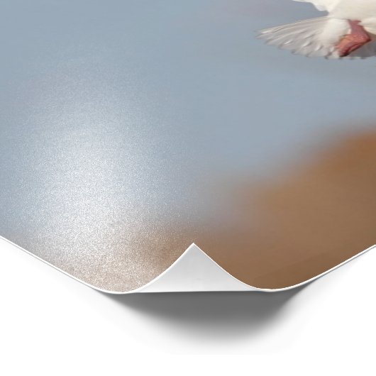 Impression Photo Oie haut dans le ciel (Coin)