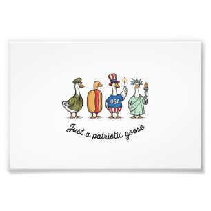 Impression Photo Oie Patriotique Gravure Vintage Drôle de Chemise U