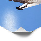 Impression Photo Oie volante (Coin)