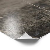 Impression Photo Oies des neiges volantes (Coin)