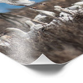 Impression Photo Oies éparses (Coin)