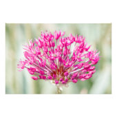 Impression Photo Oignon (Devant)