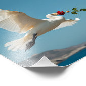 Impression Photo Oiseau (Coin)