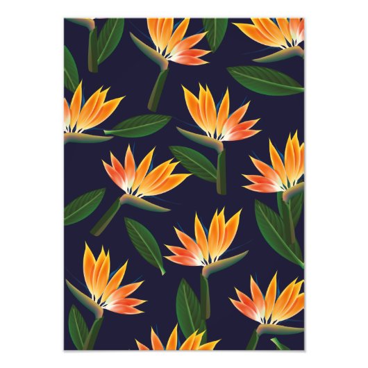 Impression Photo Oiseau de fleur de paradis (Devant)