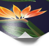 Impression Photo Oiseau de fleur de paradis (Coin)