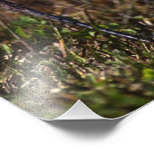 Impression Photo Oiseau du Grand Héron bleu (Coin)