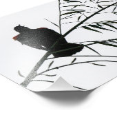 Impression Photo Oiseau En Chanson (Coin)