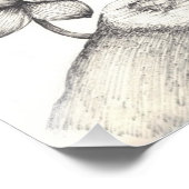 Impression Photo Oiseau et fleurs (Coin)