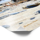 Impression Photo Oiseau islandais : Pluvier siffleur (Coin)