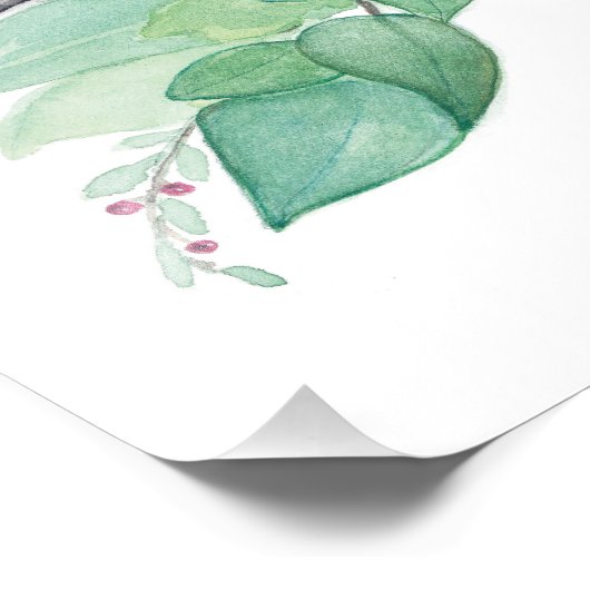 Impression Photo Oiseau nuthatch à poitrine blanche (Coin)