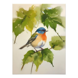 Impression Photo Oiseau Petit Coloré sur une Branche Feuillue