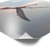 Impression Photo Oiseau préhistorique d'Anhanguera (Coin)