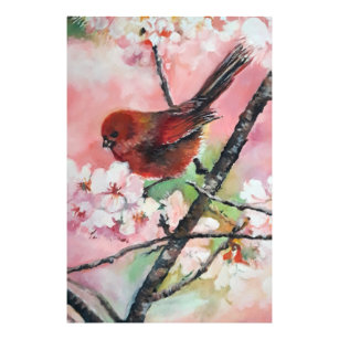 Impression Photo Oiseau roux en fleurs de cerisiers