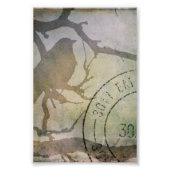 Impression Photo Oiseau Sur Une Branche (Devant)