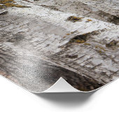 Impression Photo Oiseaux (Coin)