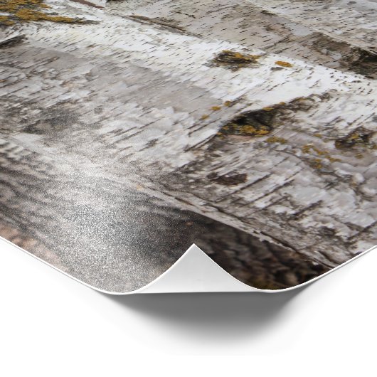 Impression Photo Oiseaux (Coin)