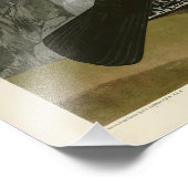 Impression Photo Oiseaux de l'Amérique du Nord (Coin)