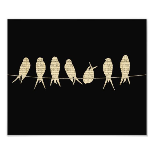 Impression Photo Oiseaux de musique (Devant)