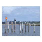 Impression Photo Oiseaux en poste dans le lac (Devant)