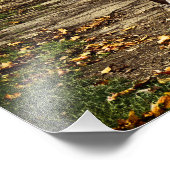 Impression Photo Old Amish Wagon (Coin)