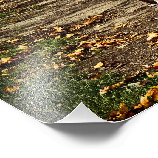 Impression Photo Old Amish Wagon (Coin)