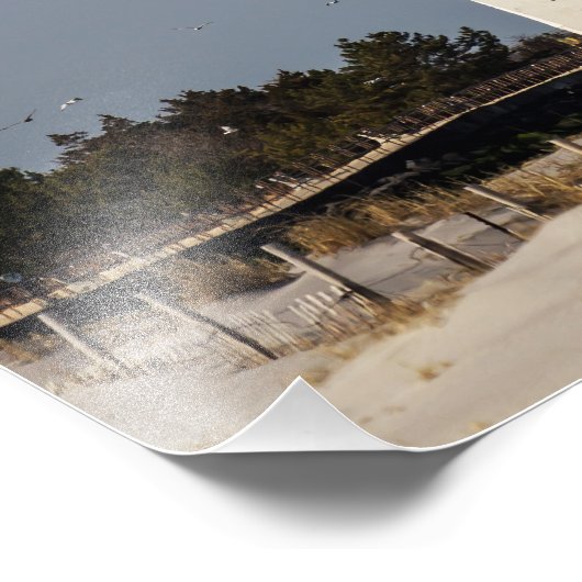 Impression Photo Old Barney (Coin)