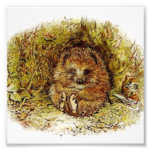 Impression Photo "Old Mr Pricklepin" par Beatrix Potter