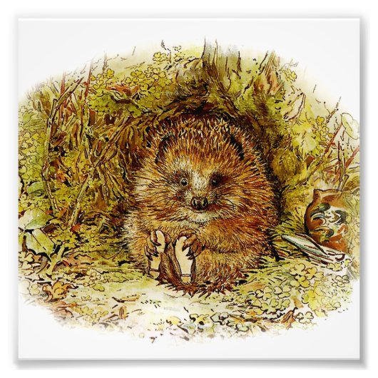 Impression Photo « Old Mr Pricklepin » par Beatrix Potter (Devant)