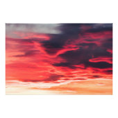 Impression Photo onde féline (Devant)