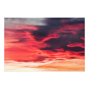 Impression Photo onde féline