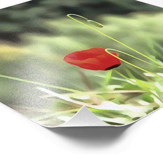 Impression Photo One Poppy Artistic (Coin)