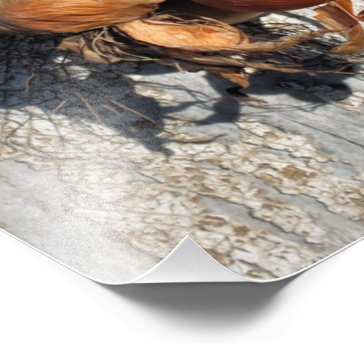 IMPRESSION PHOTO ONIONS (Coin)