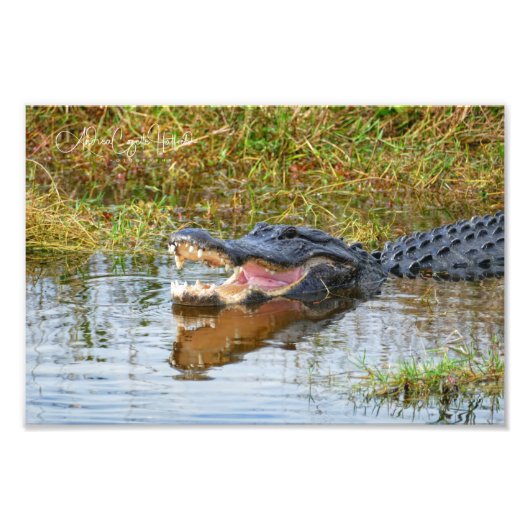 Impression Photo Open Mouth (Devant)