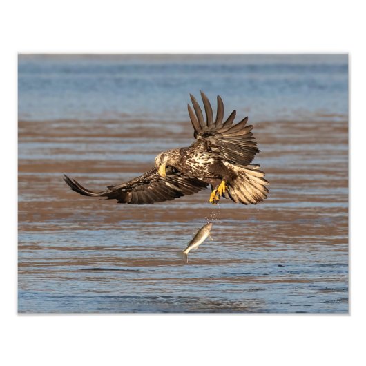 Impression Photo Opportunité manquée (Devant)