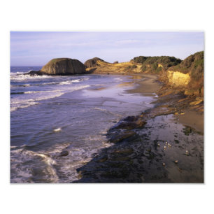 Impression Photo OR, Côte de l'Oregon, Newport, littoral au phoque