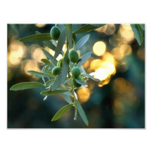 Impression Photo Or méditerranéen ; Les olives là-dessus est