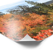 Impression Photo Orange Colorado Aspen (Coin)