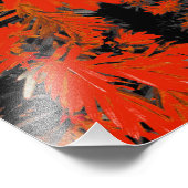 IMPRESSION PHOTO ORANGE DEED (Coin)