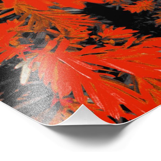 IMPRESSION PHOTO ORANGE DEED (Coin)